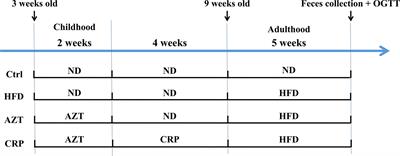 Citrus reticulatae pericarpium Extract Decreases the Susceptibility to HFD-Induced Glycolipid Metabolism Disorder in Mice Exposed to Azithromycin in Early Life